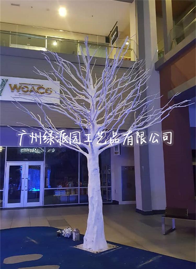 枯树100101.jpg