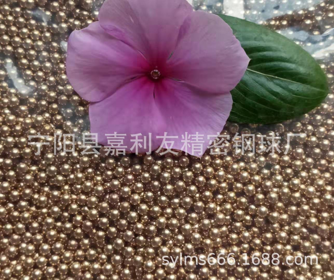 微信图片_20190902101049