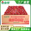 Jinluo Koukoufu 22g*90 Piezas Salchicha de Jamón Caja Completa Envío Gratis Venta al por Mayor Barra de Salchicha de Almidón Salchicha para Barbacoa Sustituto de Comida para Trabajos Extra