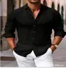 Comercio Exterior 25 Años Verano Europeo y Americano Transfronterizo Estampado Digital Hombres Vacaciones en la Playa Moda Juvenil Camisas