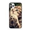 13 León Tigre Funda para Teléfono Móvil para Apple 14 Pro max Funda Protectora 12 Funda Suave Esmerilada 11 Comercio Exterior