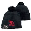 2026 Nuevo Gorro de Punto con Pompón de Color Mixto al por Mayor, Gorro de Lana de Equipo de Rugby, Jacquard de Doble Cara, Estilo Retro Artístico
