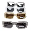 Moda Nuevas Gafas de Sol Polarizadas Pequeñas Ovaladas Estilo Ojo de Gato Versátiles Mismo Estilo que Celebridades de Internet Marca g Gafas de Gama Alta Gafas de Sol Al por Mayor