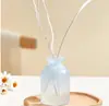 Frasco Difusor de Vidro Aromaterapia Moderno, Frasco Difusor de Varetas Sem Chama, Frasco Grande Vazio para Aromaterapia em Formato de Barriga, De Alta Qualidade