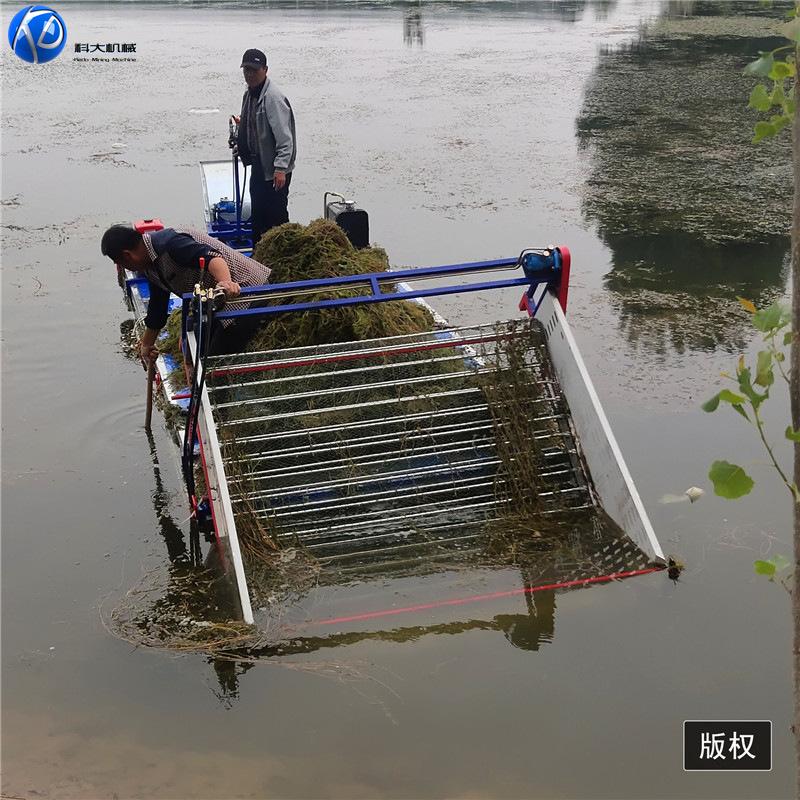 19eb97fbd724d3a20d14d615b90c39