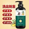 Dr. Shampoo Nutritivo e Hidratante com Suco de Gengibre Yanmei - Controle de Oleosidade, Volumizador, Anticaspa, Cuidado Nutritivo para os Cabelos Shampoo com Suco de Gengibre Atacado