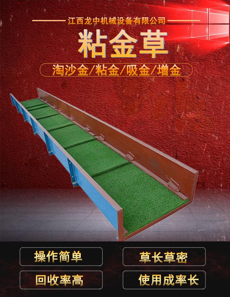 粘金草 (1)