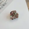 Ácido Acético Pinza Garra Linda Flequillo Pasador Pequeño Mini 2.5cm Hueco estilo Ins Chica Accesorios para el Cabello para Mujeres