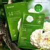 Músculo Linsha Antirrugas Firmando Máscara Tender Hidratante Hidratante Pele Nutritiva Facial Cuidados Faciais Máscara Caixa Venda por atacado