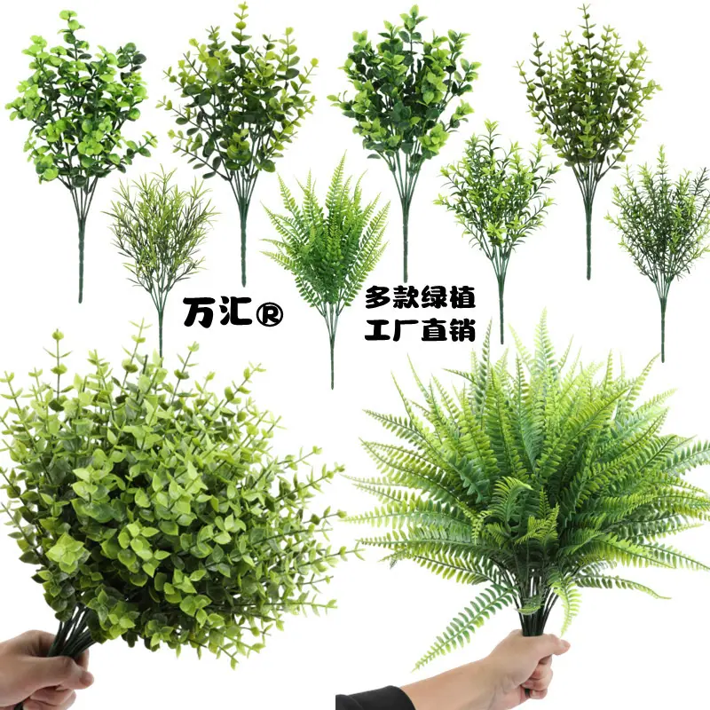 1688万汇主11