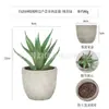 Planta en Maceta Artificial Mini Transfronteriza Hecha a Medida Adornos de Escritorio Bonsái Suculento de Simulación Flor Artificial Planta Verde Pulpa Suculenta Planta en Maceta