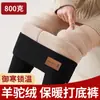 Leggings de lã de alpaca extra grossos para mulheres, novo estilo de inverno, forrados com fleece e espessados, de cintura alta, justos e adequados para usar como peça externa, proporcionando calor em regiões frias