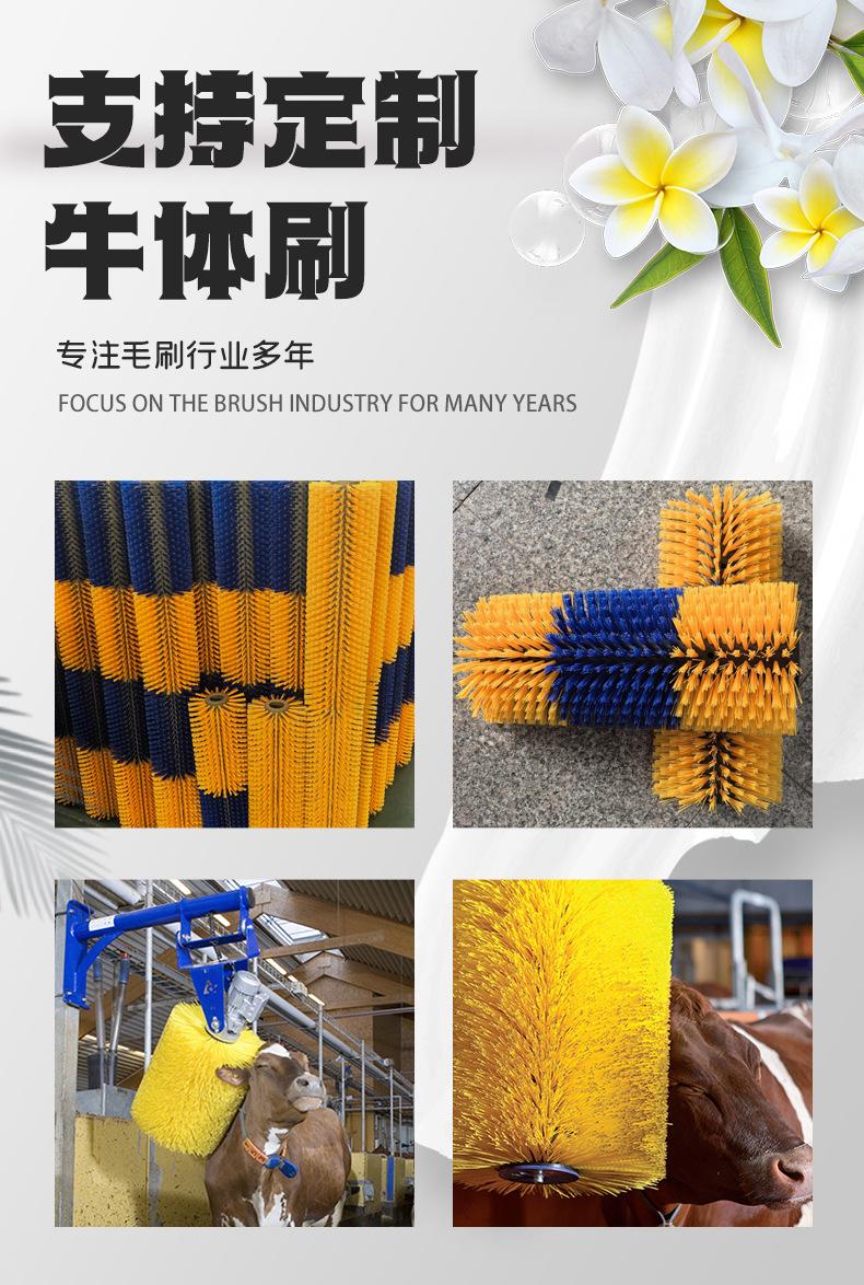 牛体刷详情_01.jpg