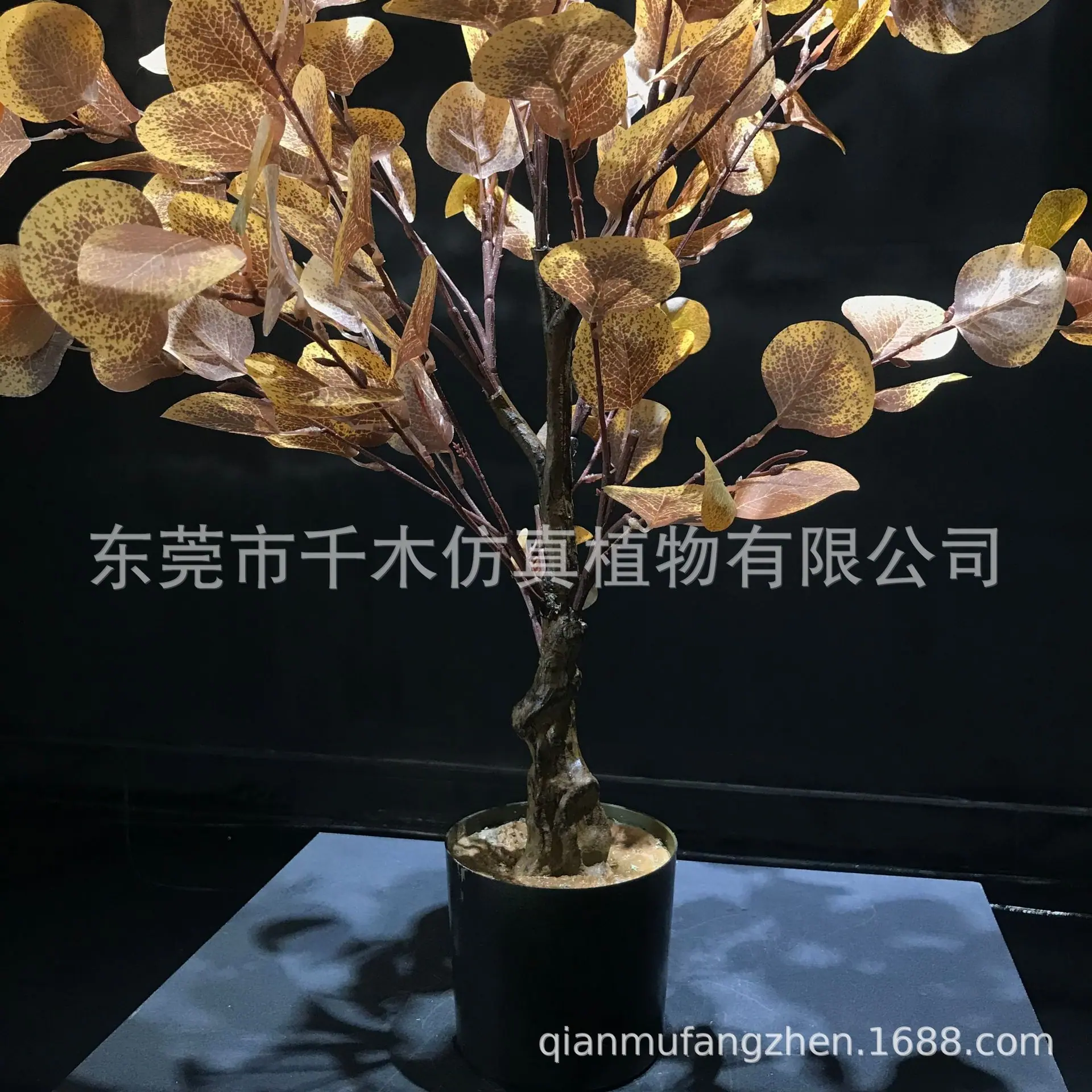 微信图片_2021121114342313