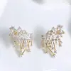 A História da Rosa Brincos Nebulosa Deslumbrantes no Mesmo Estilo de Liu Yifei, Brincos de Zircônia de Luxo Leve de Alta Qualidade, Mesmo Estilo de Zhao Jinmai