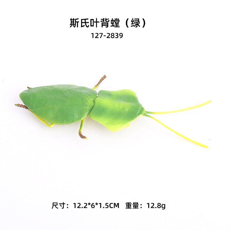 01尺寸