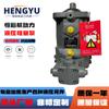 Rexroth Rexroth Bomba de Pistones A6Vm160Ha2T A6Vm107Ep1 A6Vm55Hd1 Motor Hidráulico