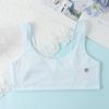 Ropa interior para niñas Malla transpirable Delgada Período de desarrollo Sujetador de ropa interior para niñas Estudiantes de primaria Estudiantes de secundaria Chaleco anti-golpes Limpiar