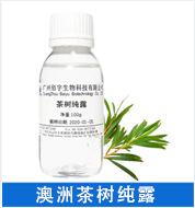 茶树.png