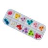 12 flores secas tridimensionales para decoración de uñas, tamaño de caja larga, 24 flores secas de varios tamaños, joyería para uñas al por mayor