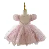 Vestido de Primeiro Aniversário para Menina Anfitriã Vestido de Princesa Infantil de Alta Qualidade Flor Rosa Daminha de Casamento Vestido para Performance de Piano de Menina