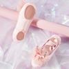 Zapatos de baile para niños y mujeres, ballet, malla tridimensional, corona, zapatos de garra de gato, primavera y verano, nuevos, cuerpo de satén, zapatos de ejercicio, en stock