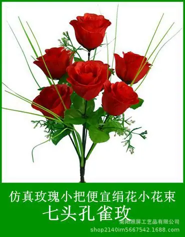 7头孔雀玫.jpg