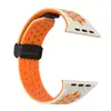 Adecuado para la serie Apple Watch Ultra9876543210, correa de silicona con hebilla magnética plegable de panal bicolor