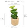 Amazon Planta Artificial Suculenta Imán de Corcho Imán de Refrigerador Decoración del Hogar Estilo Pastoral Suculenta Creativa Atracción Magnética