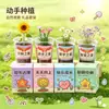 Escritorio de estudiante plantando plantas pequeñas en macetas caja sorpresa niños bricolaje plantas verdes mini interior moderno oficina flores y plantas