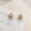 Pendientes de Perla de Lujo Ligero Elegantes Retro Fuegos Artificiales Moda Nuevo Estilo Pendientes Versátiles de Alto Nivel Diseño de Nicho Pendientes para Mujer
