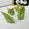 11 garfo chuva de primavera simulação flor simulação planta verde sistema floresta planta verde exibição em casa cor suave folha de ferradura taro casamento