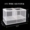 Caja de Aislamiento para Peces Juveniles Acuario Equipo Caja de Cría Transparente Cubo Caja de Aislamiento para Peces Caja de Aislamiento para Alimentación de Peces Caja de Incubación