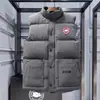 Chaleco de Plumas de Ganso Otoño e Invierno Nuevo Engrosado de Moda Casual sin Mangas Chaqueta de Plumas Chaleco Térmico de Plumas de Pato para Hombres y Mujeres