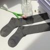 Calcetines coreanos de seda brillante de primavera y verano con estilo académico, hasta la rodilla, de color liso.