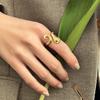 Anillo de acero inoxidable con forma de serpiente de moda para mujer, resistente a la decoloración, de nicho, de alta calidad, ligero, de lujo, estilo ins, anillo abierto de acero de titanio en oro de 18 quilates.