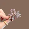Pinza de pelo pequeña con garra para temperamento de princesa, pinza de pelo lateral estilo coreano exquisita, sensación de alta gama, nuevo pinza de pelo para media coleta 2026