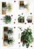 Y1766 - Adhesivos de pared con diseño de plantas verdes para estante de pared, decoración de fondo para sala de estar, dormitorio, estudio, fabricantes al por mayor
