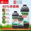 Pesticida 40% Carbamidofos para Pulgões de Árvores Frutíferas, Brocas de Frutas, Lagartas do Algodão, Brocas da Bainha do Arroz, Brocas do Milho, Lagartas de Repolho