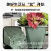 Maceta Cuadrada Personalizada de Galón Impresa Control Raíz Maceta para Flores Plástico Engrosado Interior Balcón Maceta para Rosas Crisantemos Maceta para Plántulas de Jardinería