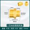 Adaptador alargado directo de doble cable exterior de cobre, nuevo, para tubería de agua de grifo, 4 puntos, 6 puntos, cable corto DN15 a cable de 4 puntos