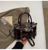 Bolso Estilo Coreano para Mujer 2026 Primavera/Verano Nuevo Nicho Moda Simple Versátil Bolso de Hombro Cruzado Textura de Alta Calidad Bolso para Mujer