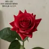 Flores Artificiais Hidratantes de Flor de Rosa Estilo Ins do Fabricante para Decoração de Casa, Buquês de Casamento, Decorações de Parede e Artesanato com Flores Artificiais
