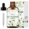 Hllozzi 103 30ml Óleo Essencial de Planta Aromaterapia Massagem Aromática Cuidados com a Pele Óleo Essencial de Coco Lavanda Rosa