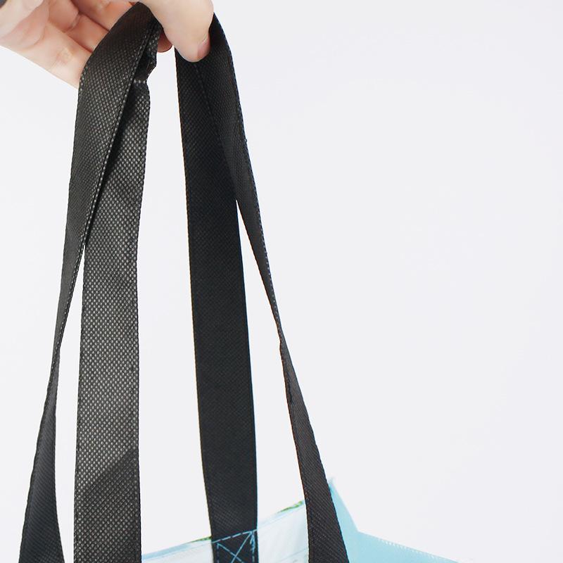 non woven bag 13 (5)