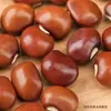 Feijão Vermelho Jiang Selecionado Arroz de Grãos Mistos Feijão Vermelho Mingau Cozido Pão de Feijão Grudento Feijão Vermelho Jiang Feijão Vermelho de Arroz Suporte Dropshipping Atacado Varejo