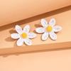 Brincos de flores ocas trançadas de grama rafi de cor exagerada europeia e americana, estilo de férias à beira-mar, brincos distintos