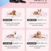 Almohadilla para Orina de Mascotas para Perros, Engrosada y Absorbente para Gatos para Atraer Guía al Baño, Tabletas Desechables para Conejos para Defecación, Shihua