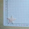 Accesorios de Estrella de Mar Transparentes Brillantes Súper Grandes DIY Hechos a Mano Pinzas para el Cabello Funda para Teléfono Zuecos Bolsa para Zapatos Caja de Almacenamiento Materiales al por Mayor