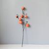 Siete Frutas Caqui Simulación Fruta de Caqui Rama de Árbol Aterrizaje Rama Larga Flor Decorativa Fruta Falsa Hogar Planta Verde Planta en Maceta Decoración